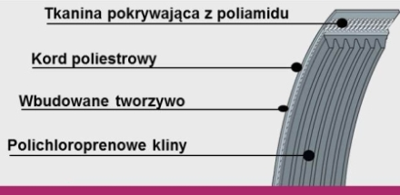 Pasy wielorowkowe